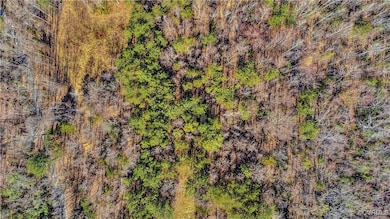 Drone / aerial view with a wooded view
