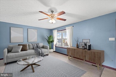 338 Borum St, Strasburg, VA 22657 - photo 4