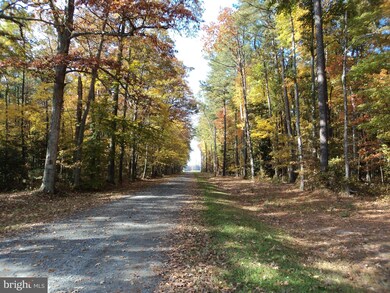 28068 Howell Point Rd, Trappe, MD 21673 - photo 5