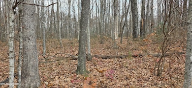 0 Rocky Top Rd unit 1322693, Monterey, TN 38574 - photo 4