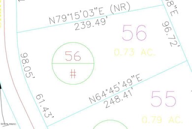 61 S Silktassel Rd Plat Map