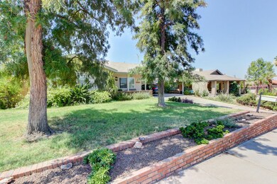 LUSH FRONT YARD