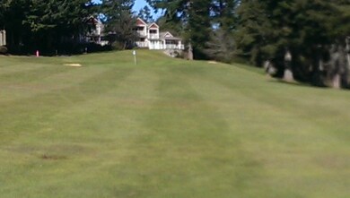 920 E Old Ranch Rd unit Lot 2, Allyn, WA 98524 - photo 2