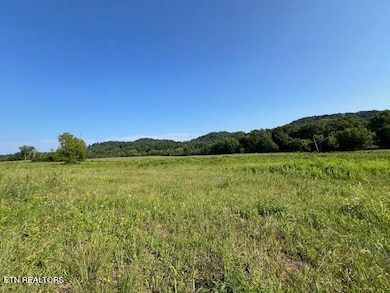 7662 Haws Rd unit 3, Knoxville, TN 37920 - photo 3