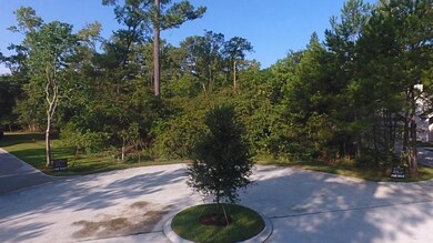 25103 Scarlet Manor Ct, Tomball, TX 77375 - photo 3