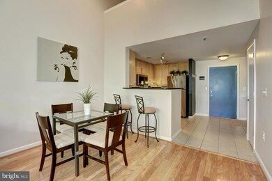 Silverton Condominiums, Silver Spring, MD 20910 - photo 4