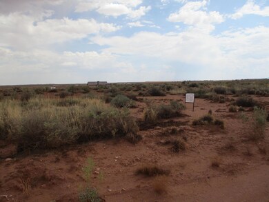 3947 Commuter Dr unit 189, Winslow, AZ 86047 - photo 4