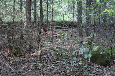 00 Miles Pond Rd, Concord, VT 05824 - photo 5