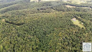 0 Bent School Rd, Meadows of Dan, VA 24120 - photo 4