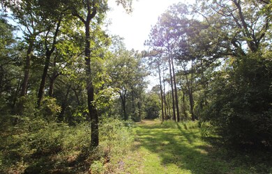 51 Ramblewood Rd, Crawfordville, FL 32327 - photo 2