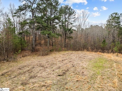 0 S Garrison Rd, Simpsonville, SC 29680 - photo 4