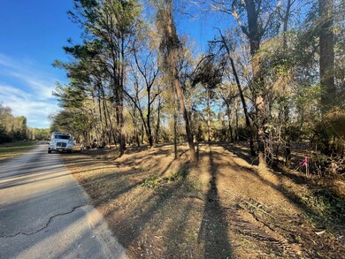 10014 Bentley Dr, Hockley, TX 77447 - photo 7