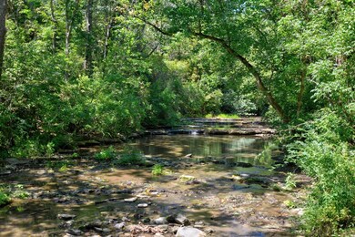 1075 Sellers Mill Rd, Versailles, KY 40383 - photo 4