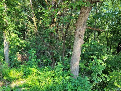 1 Union Hill Rd, Somerville, AL 35670 - photo 3