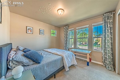 5035 Petrified Forest Trail, Colorado Springs, CO 80924 - photo 5