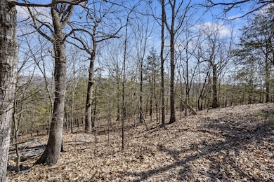 000 Map Ln, Branson, MO 65616 - photo 5