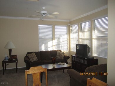 Living Room w Lots of Windows