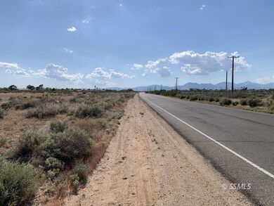 509-090-30 Bowman Rd, Ridgecrest, CA 93555 - photo 4