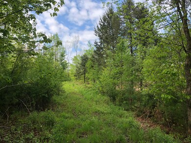 TM12 L29 Blanchard Cross Rd, Bowdoin, ME 04287 - photo 6