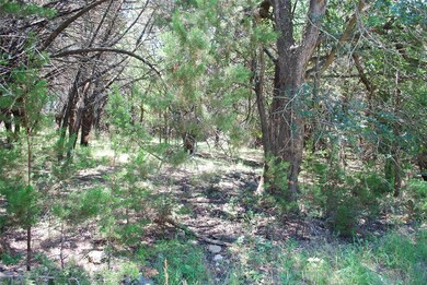 41006 Flagstone Cir, Whitney, TX 76692 - photo 2