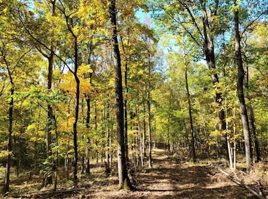 Land View (Summer)
