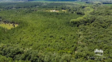 XX7 Alred Rd, Westville, FL 32464 - photo 6