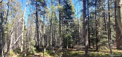 Lot 3023 & 3024 Bolwell Ln unit 3023,3024, Fort Garland, CO 81133 - photo 4