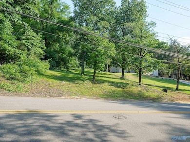 1602 Big Cove Rd, Huntsville, AL 35801 - photo 4