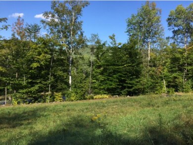 1220 Turkey Hill Rd, Northfield, VT 05663 - photo 5