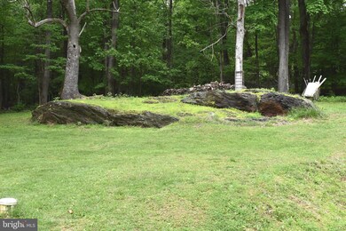 18166 Morgan Pine Rd, Knoxville, MD 21758 - photo 6