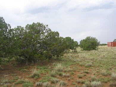 Simon 40 Acres 001