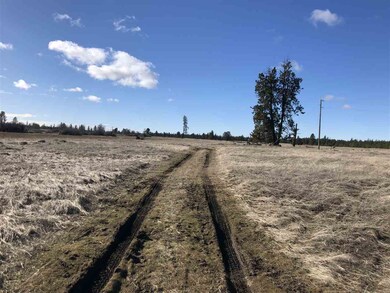 0 W State Route 904 Hwy unit 201811286, Cheney, WA 99004 - photo 2