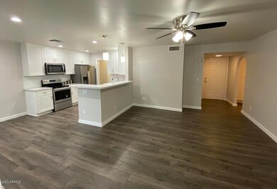 18234 N 25th Way, Phoenix, AZ 85032 - photo 5