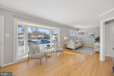 6727 Quander Rd, Alexandria, VA 22307 - photo 5