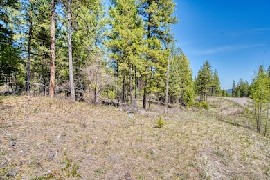 80 Blaney Ln, Kila, MT 59920 - photo 2