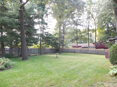 629 - Backyard 2