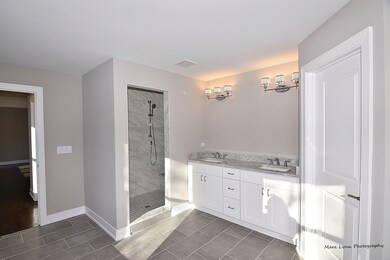 438 N Highland Ave, Elmhurst, IL 60126 - photo 7