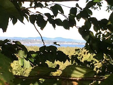 View.