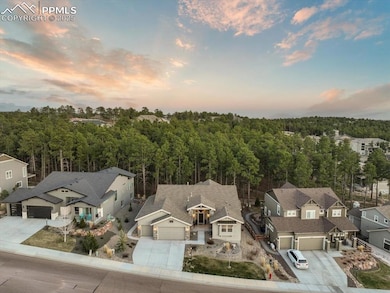 This home sits on a premium lot that backs to open