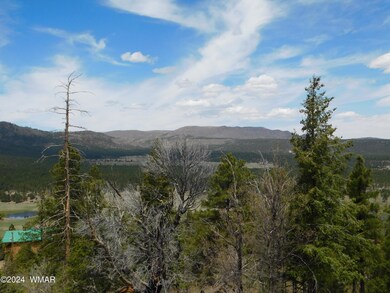 RIGGS RIDGE VIEW