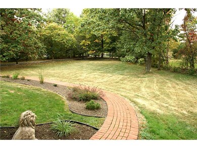 Yard/Garden.