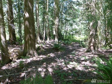 59 Noon Rd, Bellingham, WA 98226 - photo 5