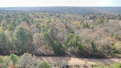 2135 Union Hill Rd, Bradford, AR 72020 - photo 2