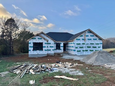 369 Ralph A Young Rd, Bowling Green, KY 42101 - photo 2