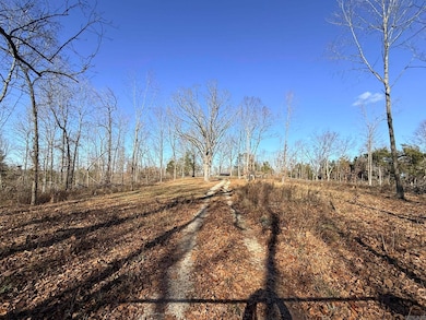 86 Acres Palestine Rd, Warm Springs, AR 72478 - photo 2