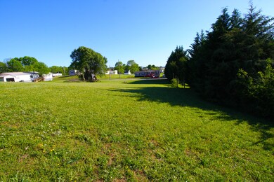 tree line backside