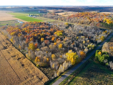 Lot 4 320th St, Forest Township, WI 54005 - photo 2