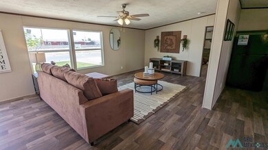 4209 Mimosa St, Carlsbad, NM 88220 - photo 7