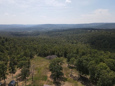 291 Wildwood Ln, Marshall, AR 72650 - photo 4