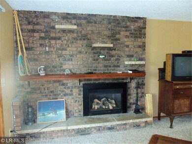 Gas fireplace
